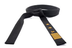 The Journey of Hapkido ~ How Long Will It Take Me to get My Black Belt