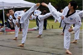 Kicking in the Korean Martial Arts